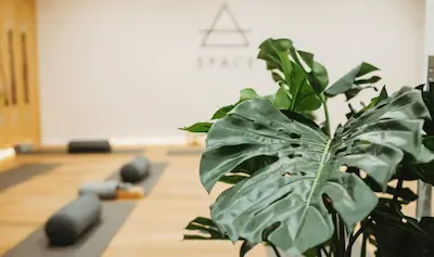 Homegrown Meditation & Yoga Spaces