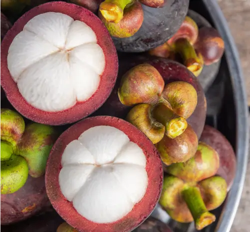 Mangosteen