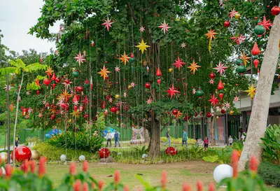 The Ranch Wellness at Azuela Cove