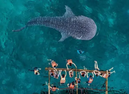 Must Visit Places in Cebu